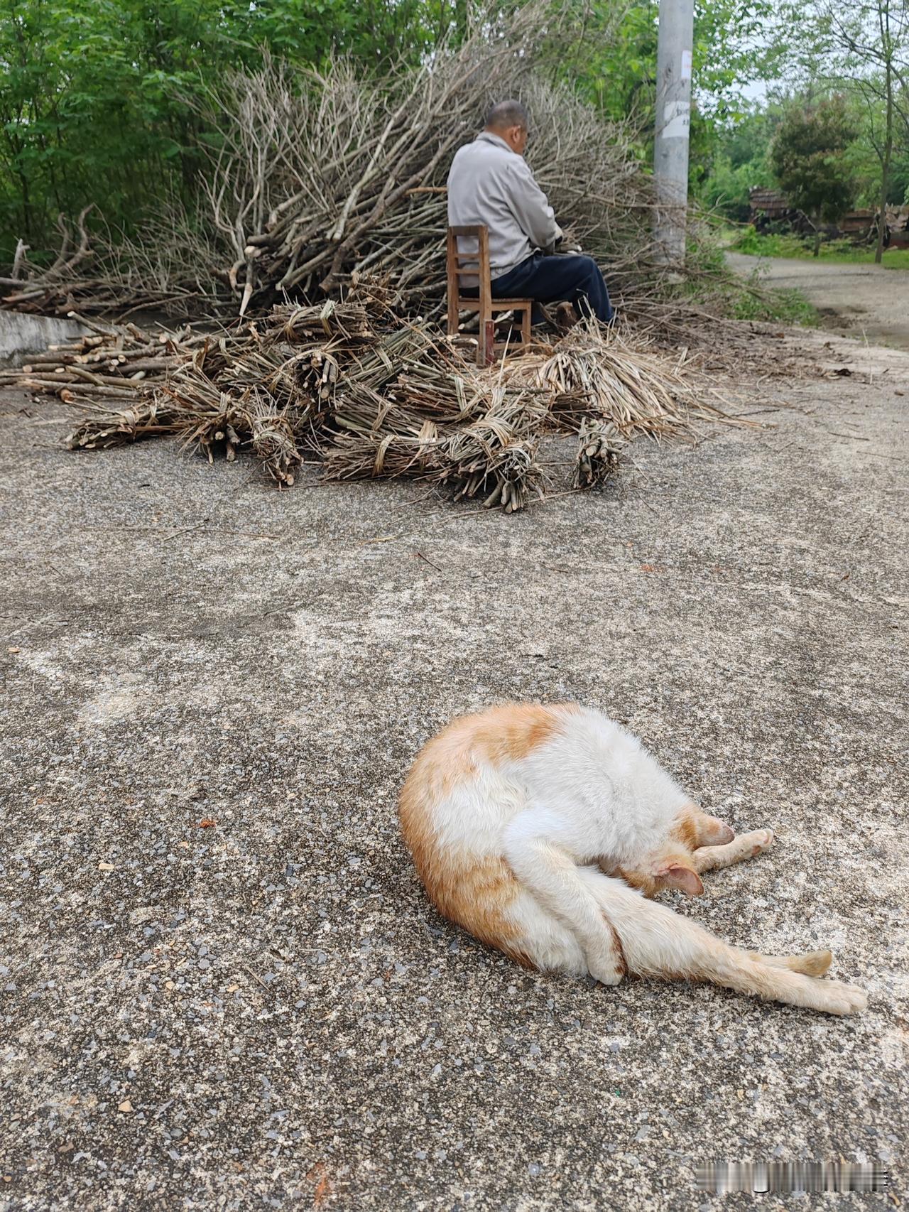 终于到家了差点成了落汤鸡！两点多的时候天阴沉沉的看样子要下大雨，赶快吃晕车药准备