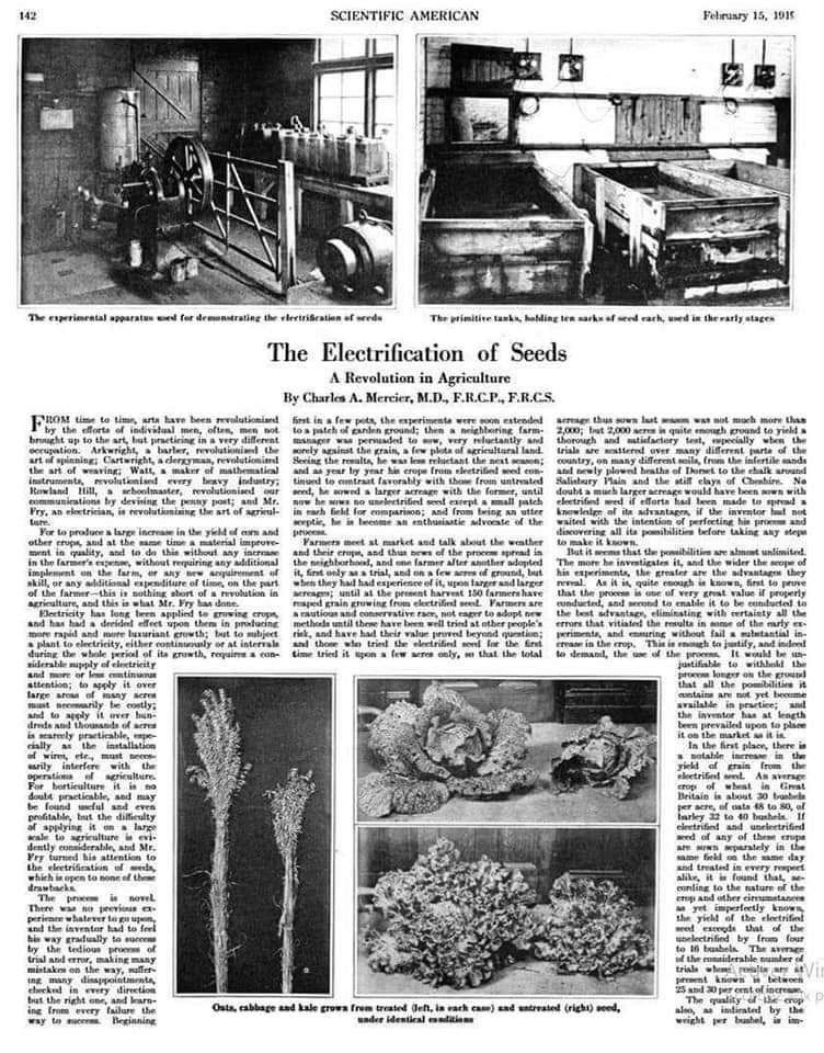 给土地植物充电，这叫接天气吗，上次试了铜管效果不明显，以后有机会再试试。 