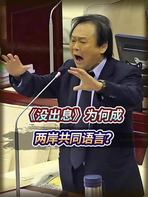 《没出息》这首歌曲唱响两岸，道出了众多民众反对“台独”的坚定心声。它以音乐为桥梁