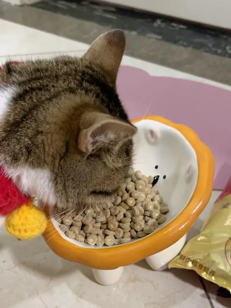 挑食土豆爱吃的牛乳夹心猫粮