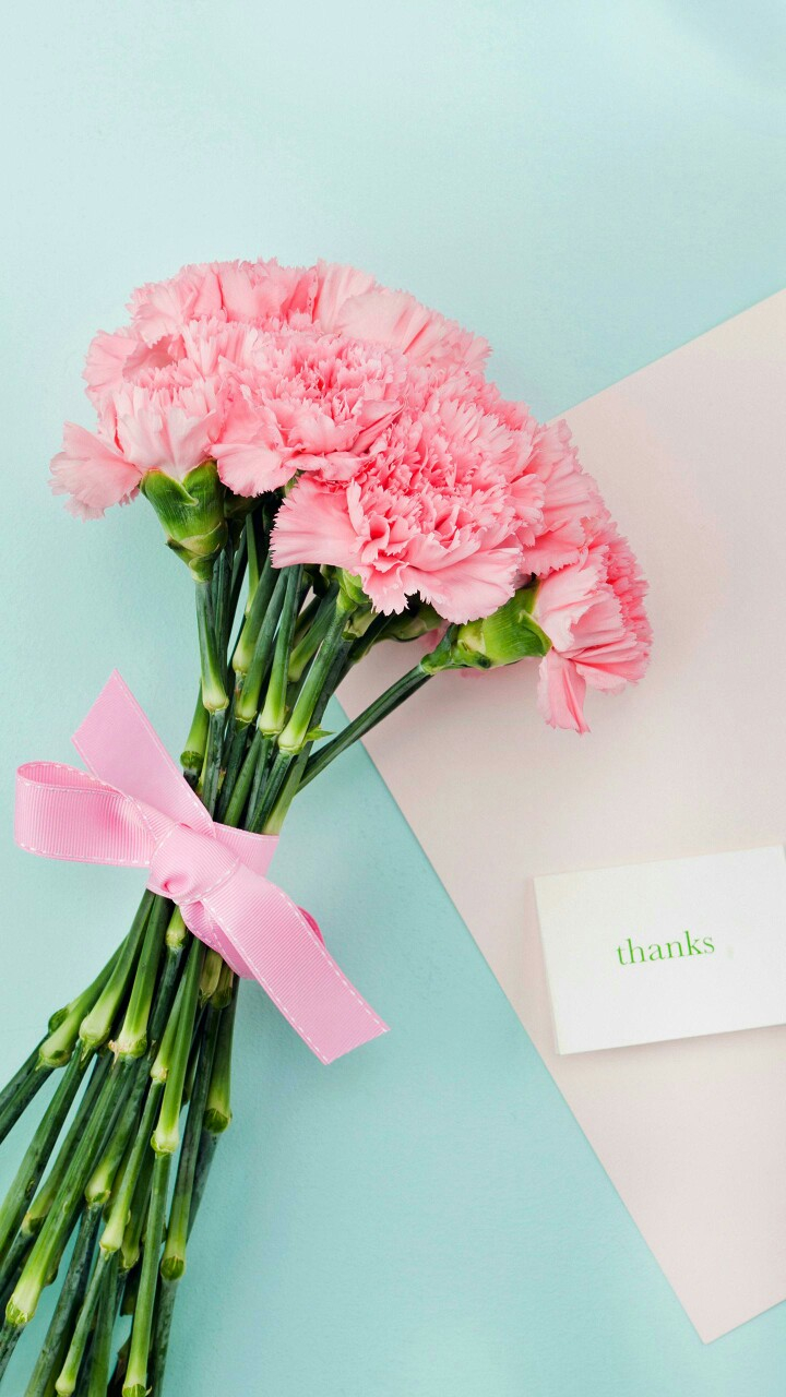 友情提示，明天就是母亲节了。今年的这个母亲节，512，还是带着一些伤痛感在的。珍