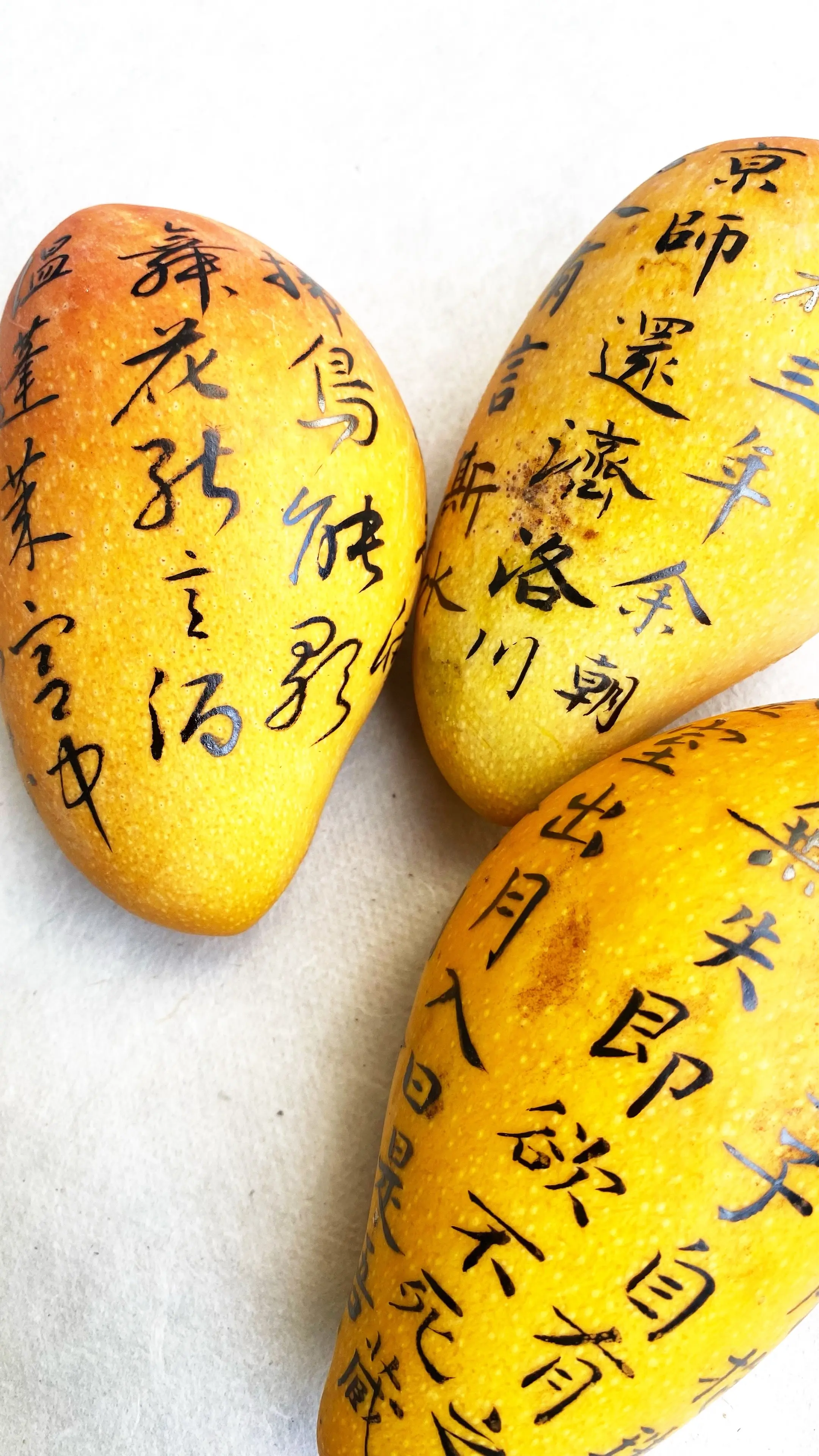 这是一个文芒🤭。