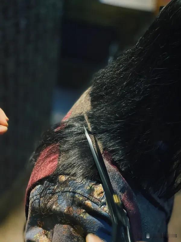 自己理发是为了省钱还是为了方便省钱是顺带的红利，图的是那份“掌控感”和“随性”。