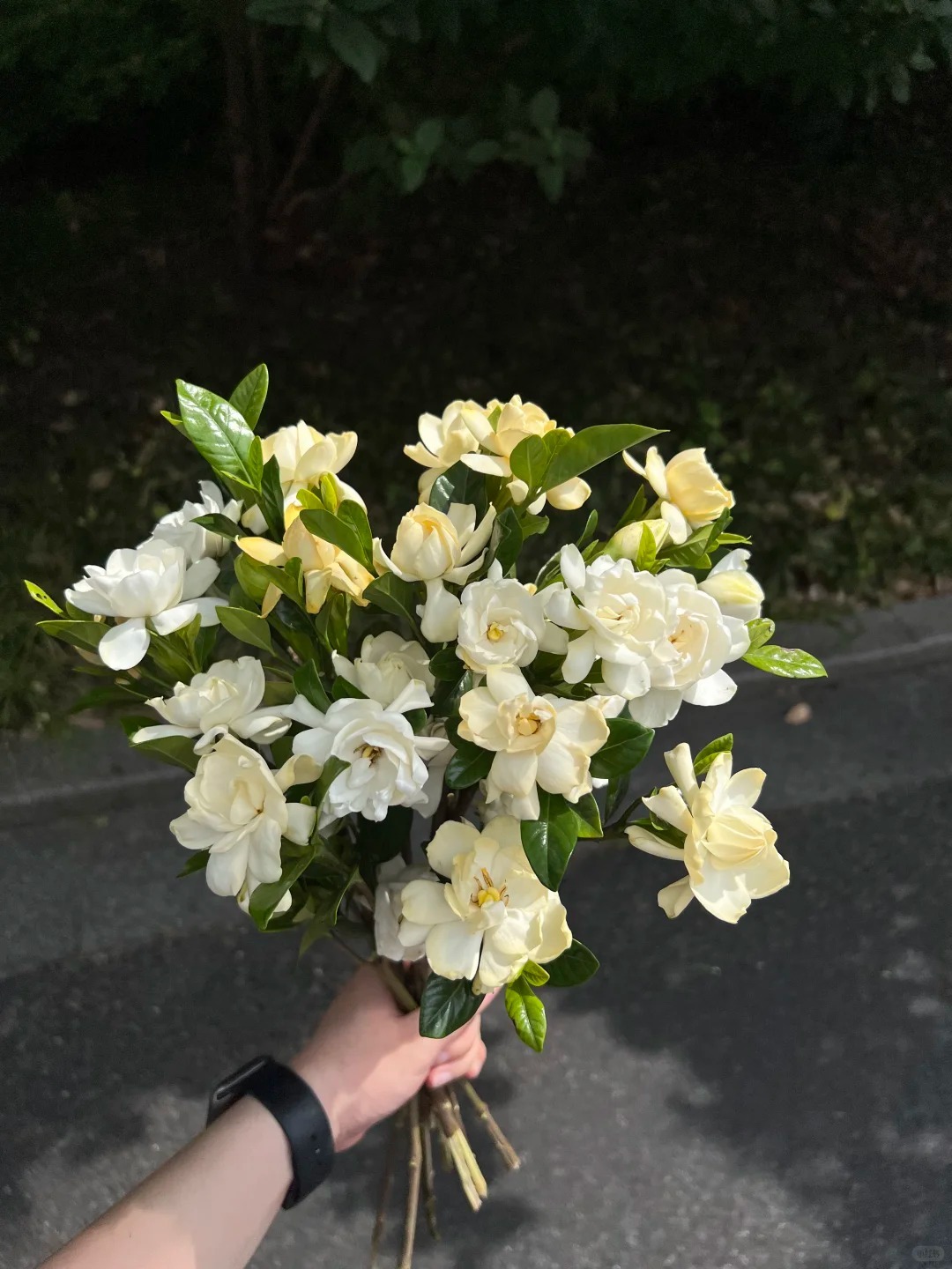 7月份的第一天 