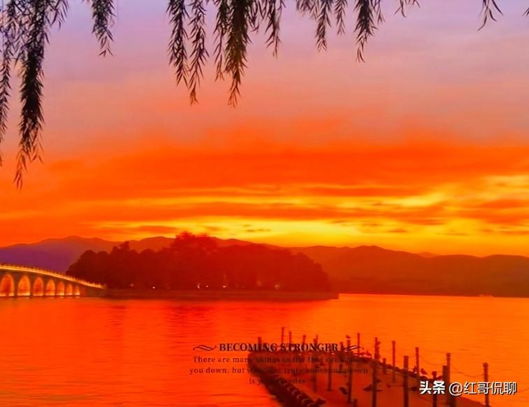 这两天章某某开博客迎来一波热讽冷嘲，本对这类新闻没啥兴趣，但看的多了，忽然想起前