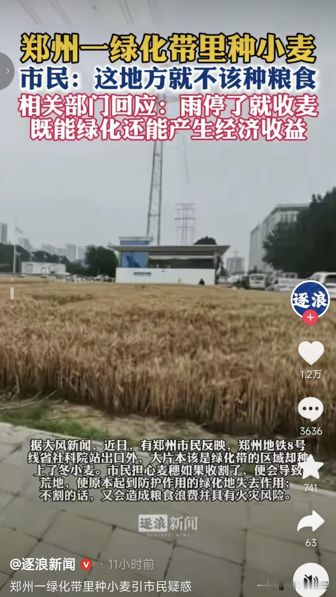 郑州市郊区周边绿化带种麦子不可怕，可怕是反应问题的那个人，我觉得投诉这个事的人才