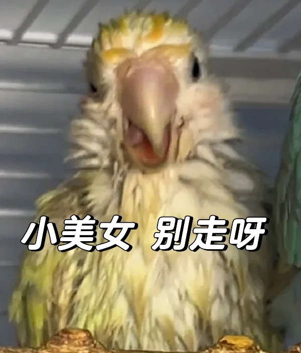 谁敢亲 谁敢闻 邪恶小榴莲