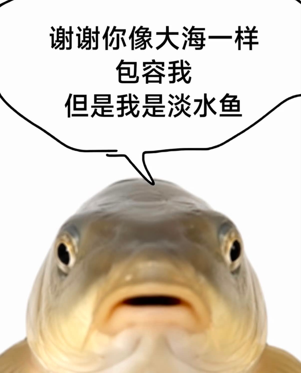 谢谢你哦