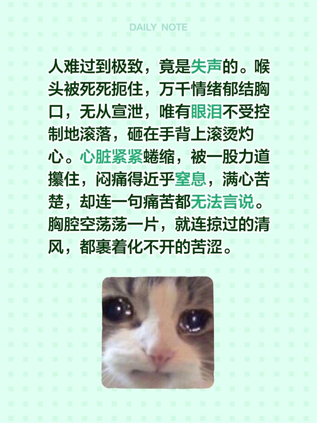 人难过到极致，竟是失声的。喉头被死死扼住，万千情绪郁结胸口，无从宣泄，唯有眼泪不