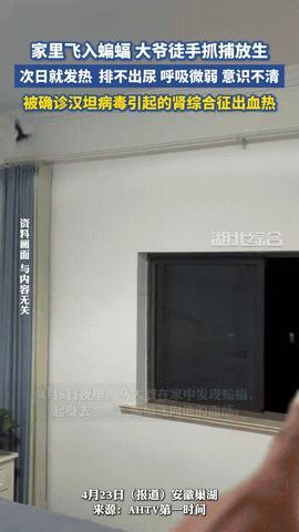 “悲剧还是发生了！”近日，安徽巢湖，一大爷发现家中进了只蝙蝠，他伸手就去抓，可蝙