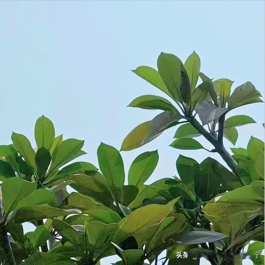 今天下午   湖北：党纪政务处分1人
 
今天下午，该省党纪政务处分1人，为今年