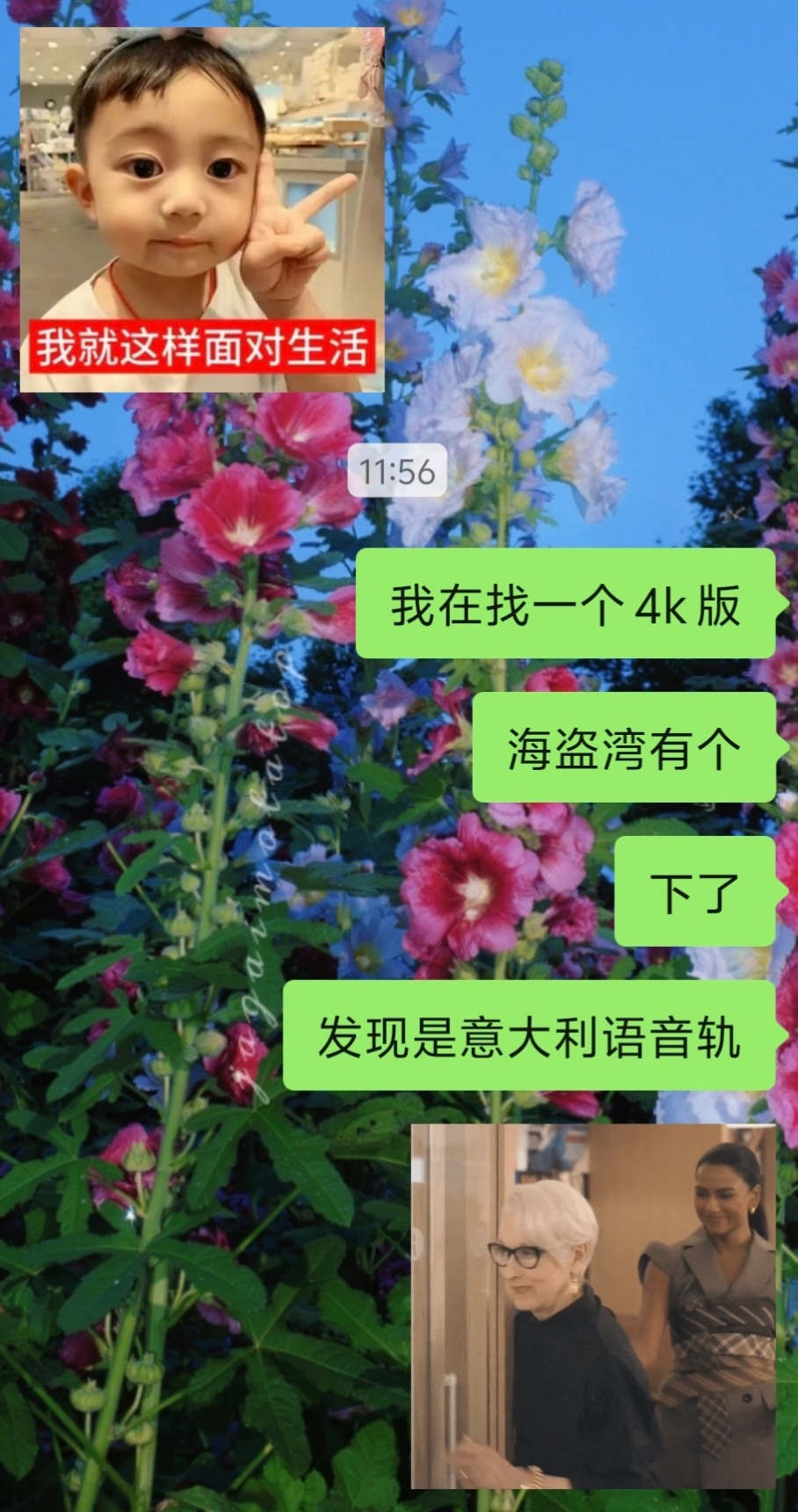 意大利人不要乱传资源
