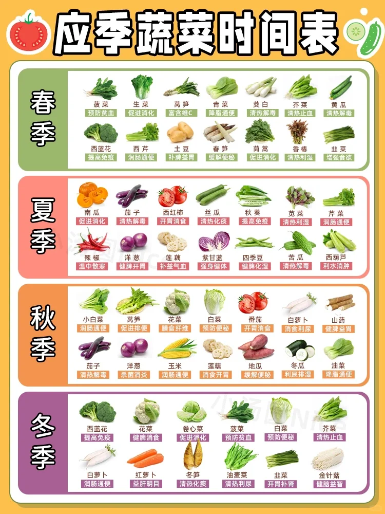 超实用❗️应季蔬菜时间表 🔍蔬菜的营养价值
