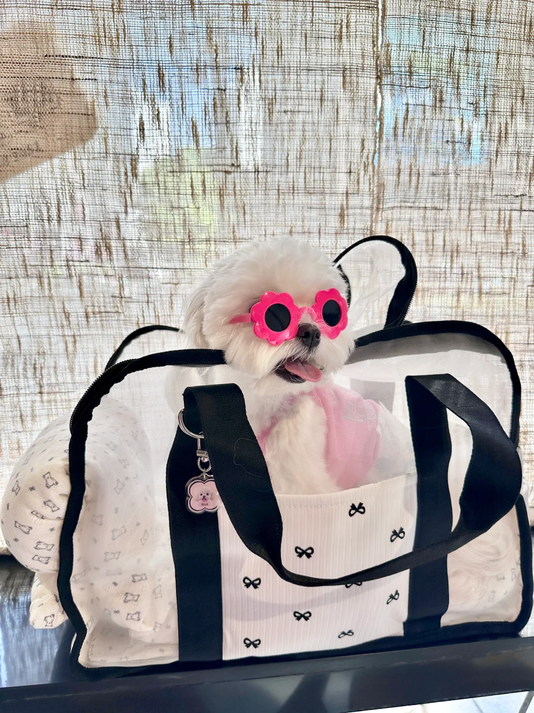 去买杯咖啡☕️帮我看看狗