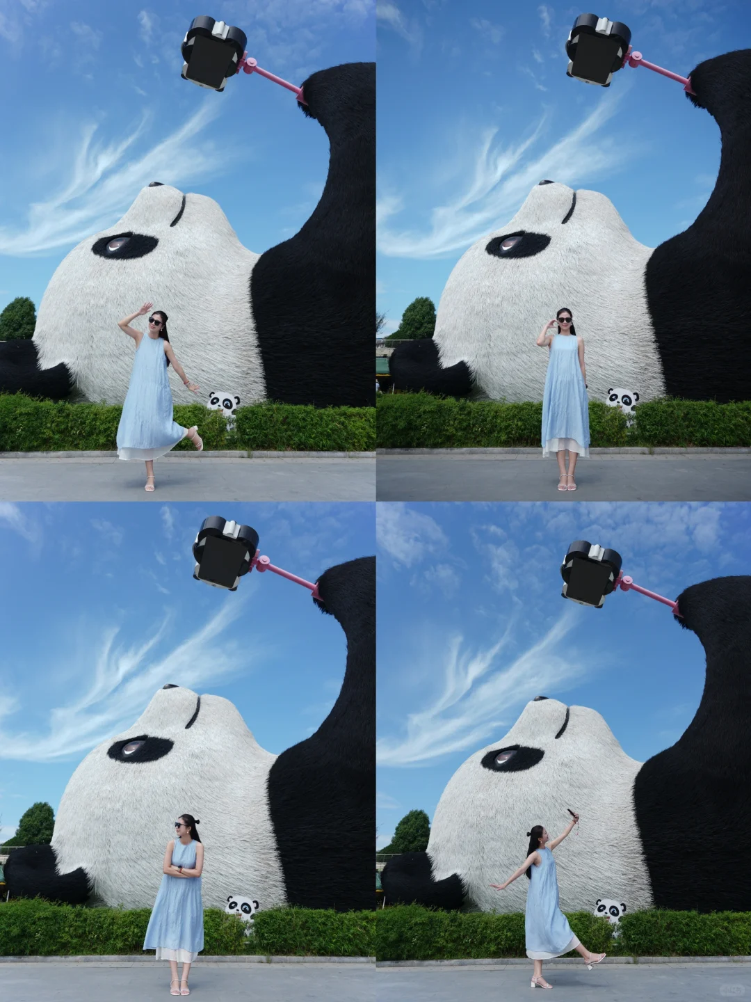 🐼为了这只大熊猫❤️我特意去了一趟成都