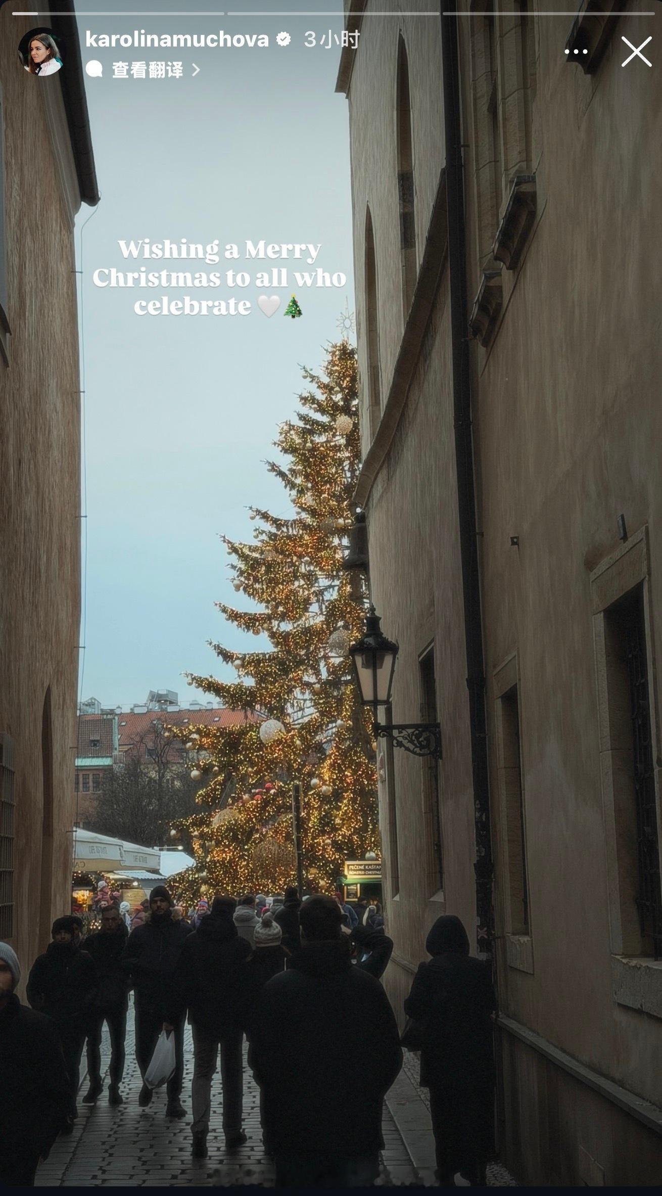 穆霍娃祝你圣诞节快乐。 