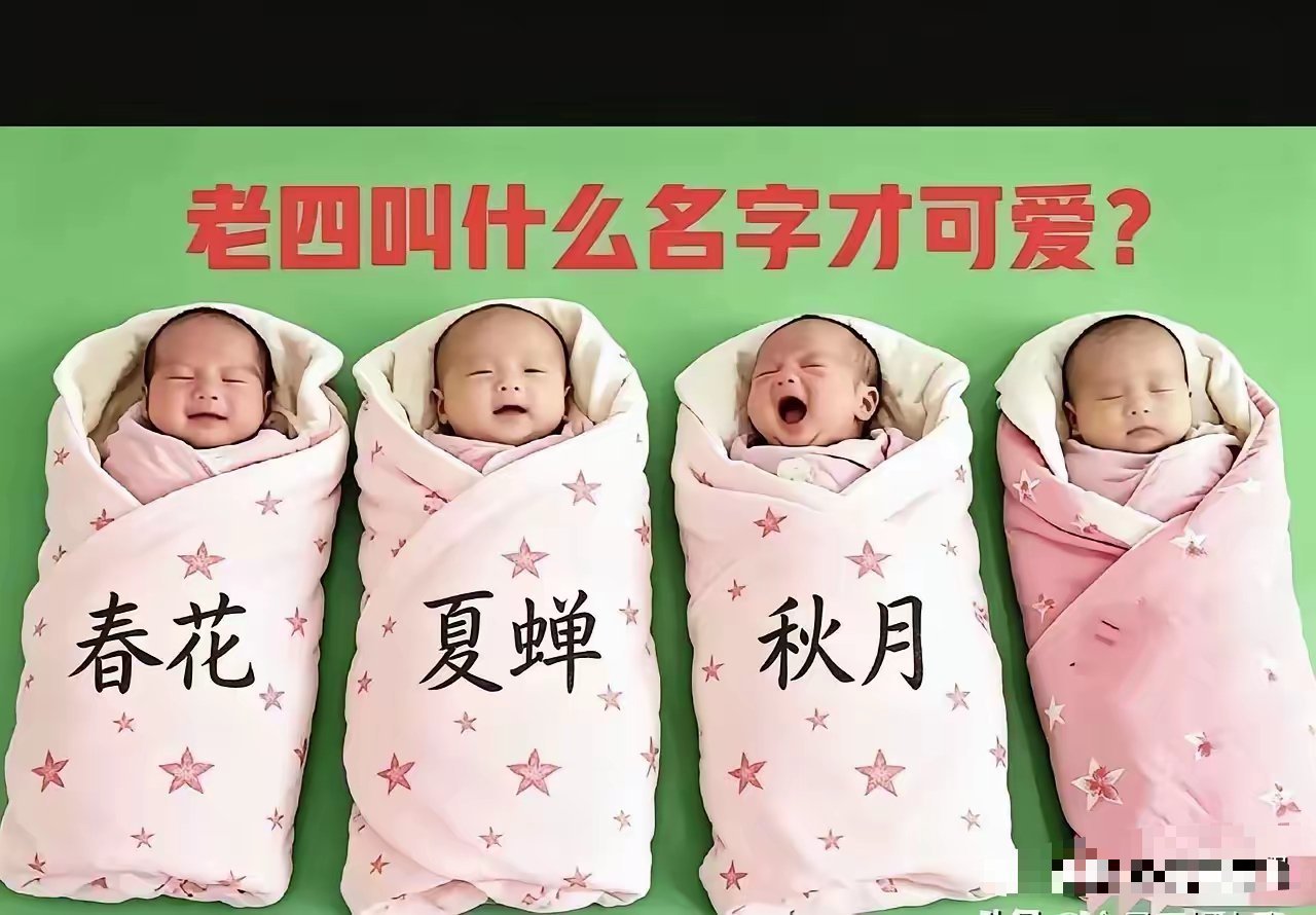 得起个什么名字呢？ 