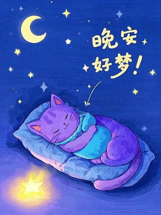 睡觉吧，你的头发不允许你瞎想。晚安💤💤岑先生