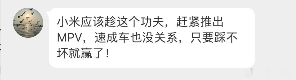 网友：小米应该趁这个功夫，赶紧推出MPV，速成车也没关系，只要踩不坏就赢了！ ​