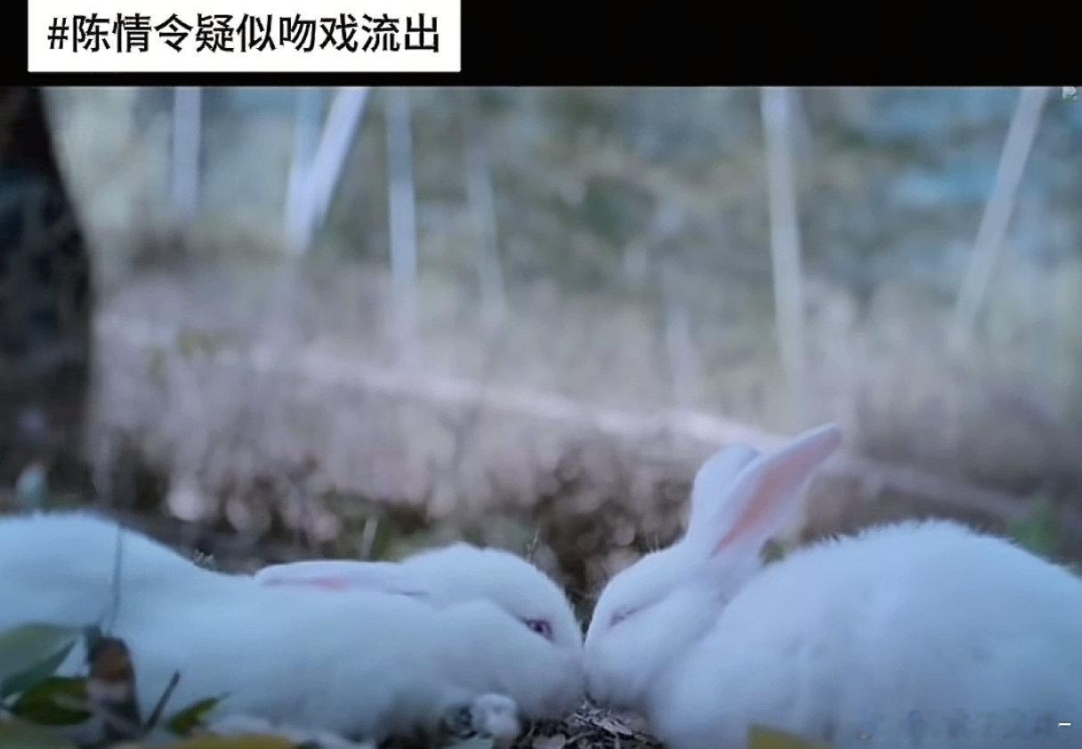 疑似《陈情令》吻戏流出[吃惊][吃惊] ​​​