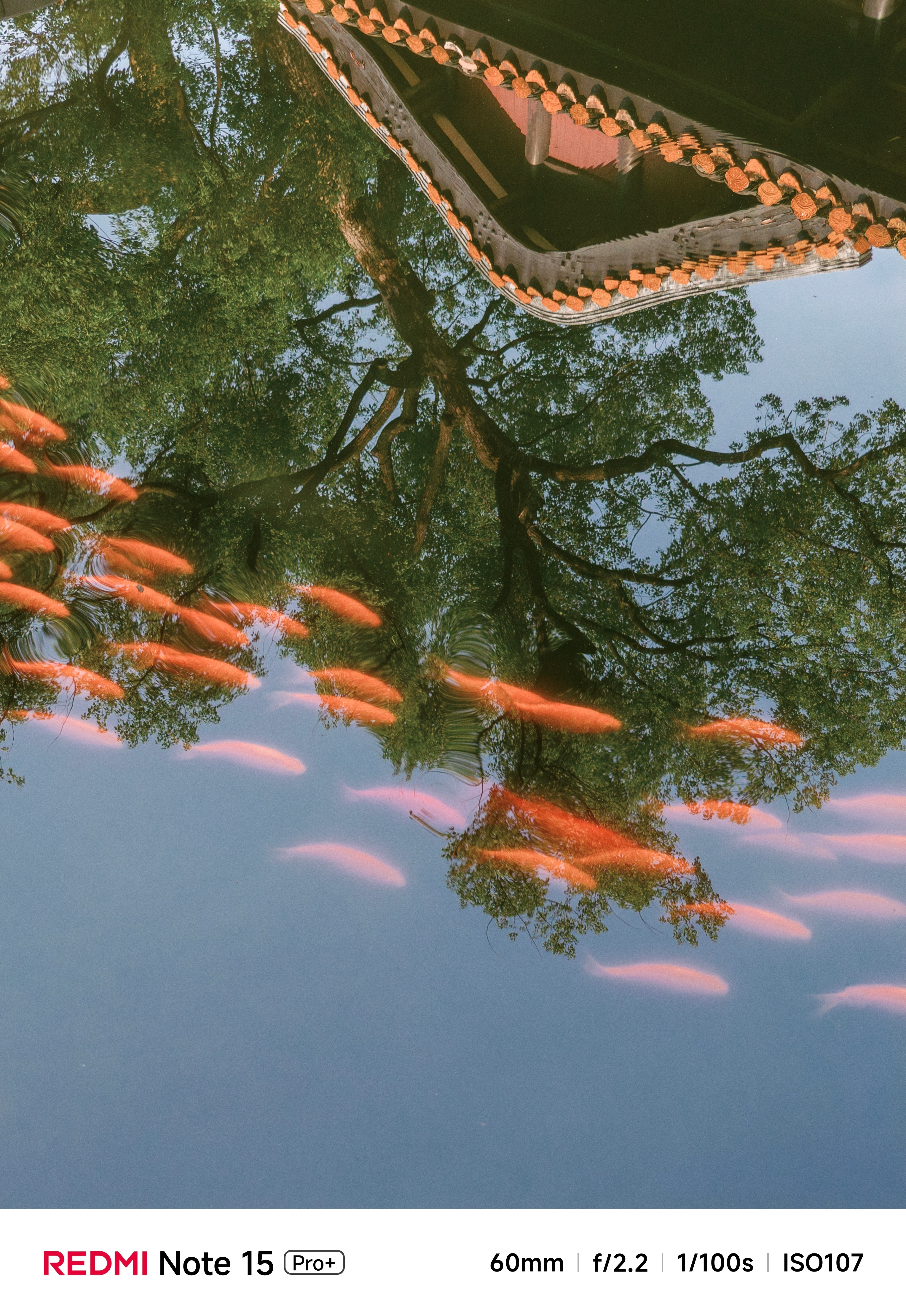 中低端机上，有长焦和没长焦就是「天差地别」的表现。和 K90 标准版同样 OV5