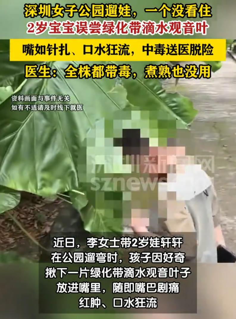 广东深圳一名宝妈带2岁孩子逛公园，就短短几秒钟没看住，孩子随手摘下绿化带里的大片
