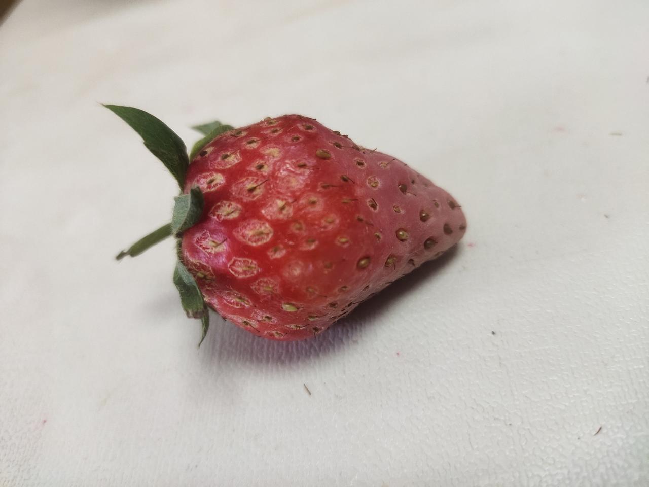 还能不能吃嘛？丢了可不可惜嘛？