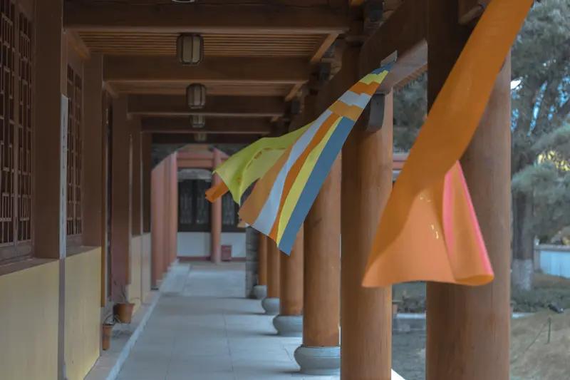 袈裟裹不住贪念！涉案3亿+，释永信一审24年，佛门净土容不下蛀虫
 
2026年