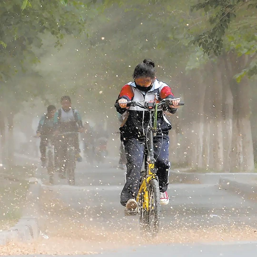 上联：？？？
下联：风雨兼程不等闲。