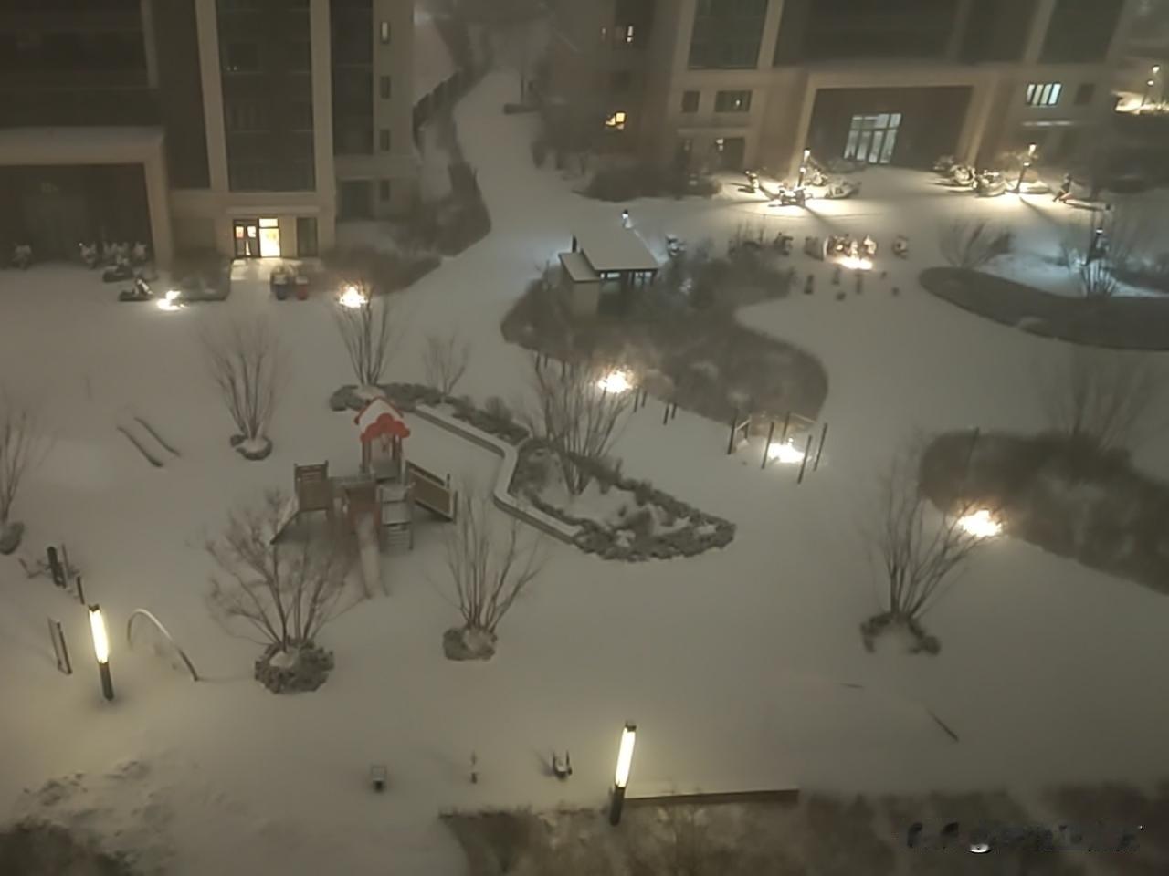 沈阳一夜白头！这场大雪把小区变成了雪国童话
 
沈阳的雪从昨夜开始洋洋洒洒，清晨