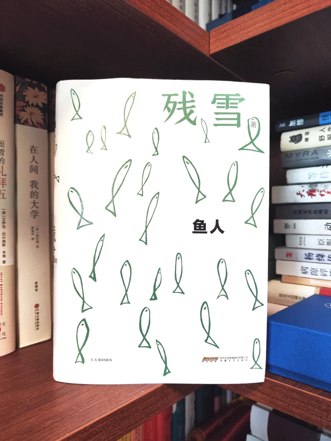 第 532 本：山羊将粪便拉在墓碑上💩
