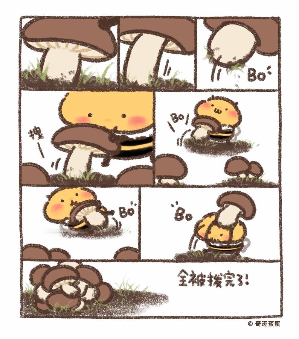 只有胡萝卜受伤了 