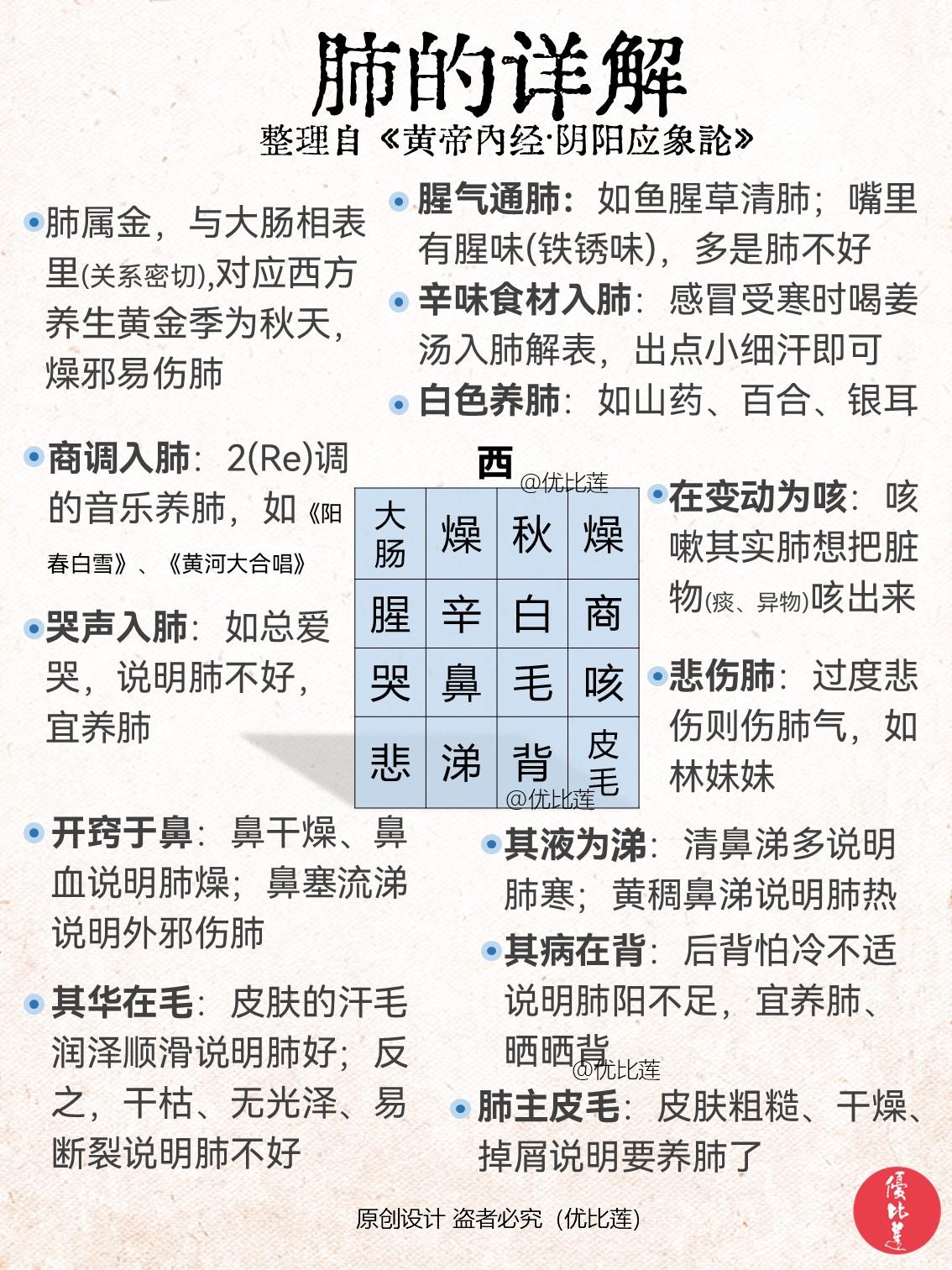读懂《黄帝内经》 一图看懂肺的详解

整理自《黄帝内经·金匮真言论论》、《黄帝内