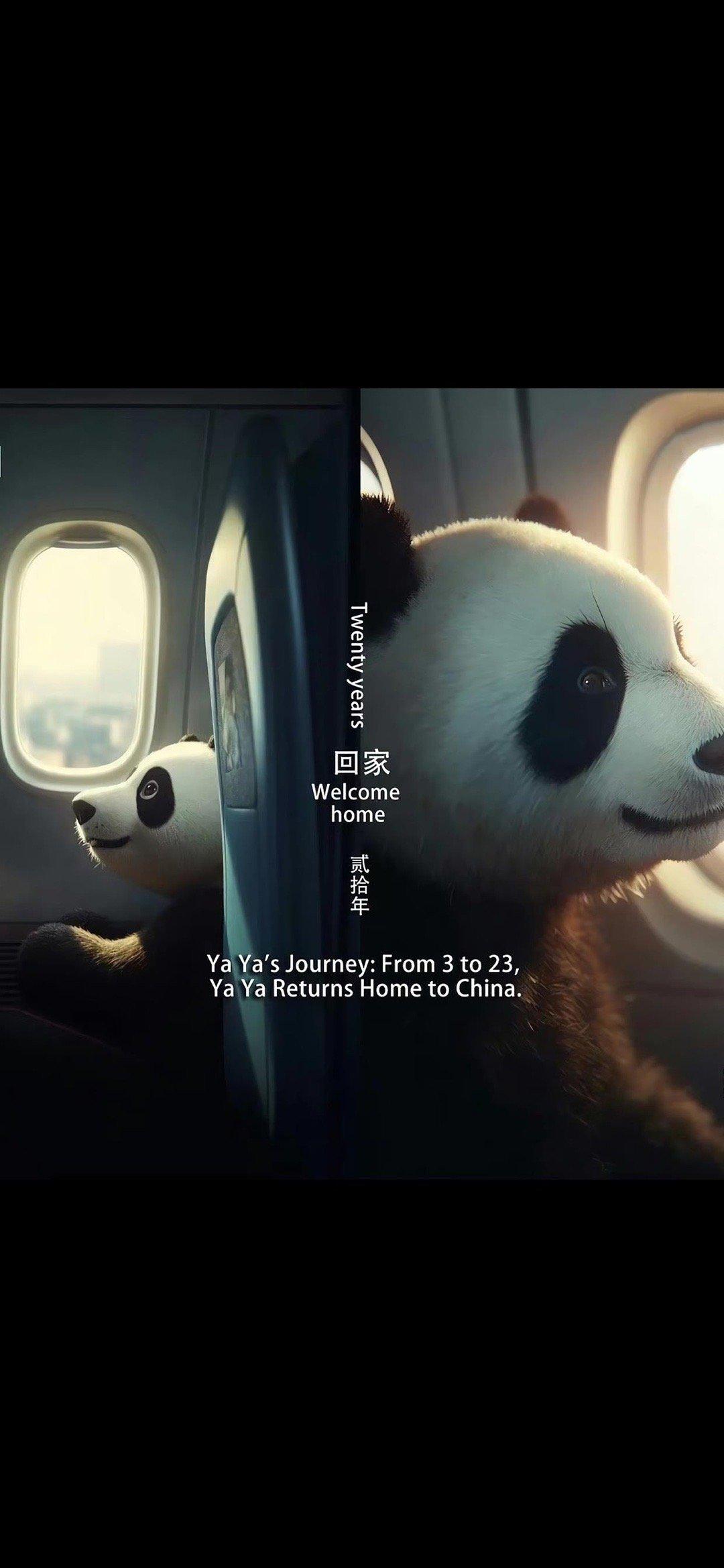 欢迎我们的丫丫回家！ ​​​