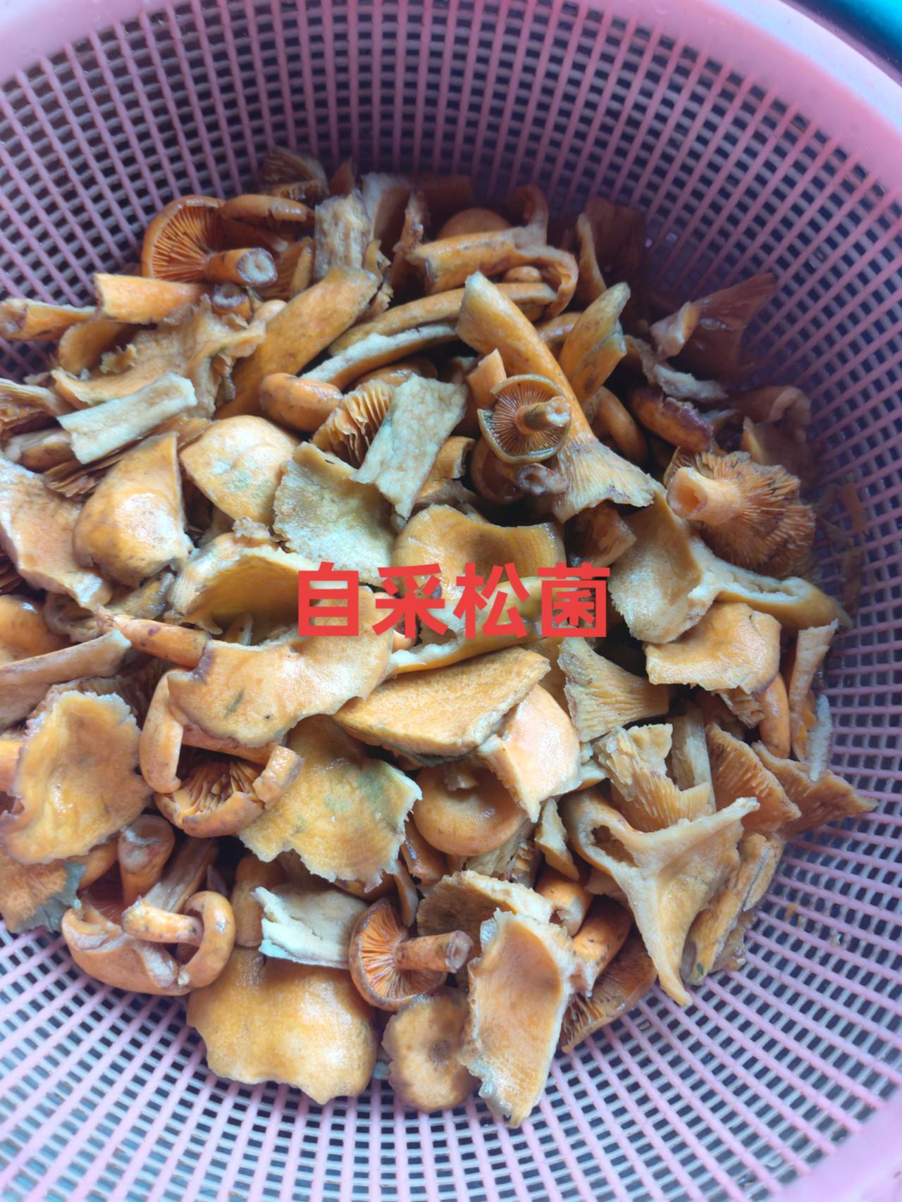 今天中午就两个菜！！