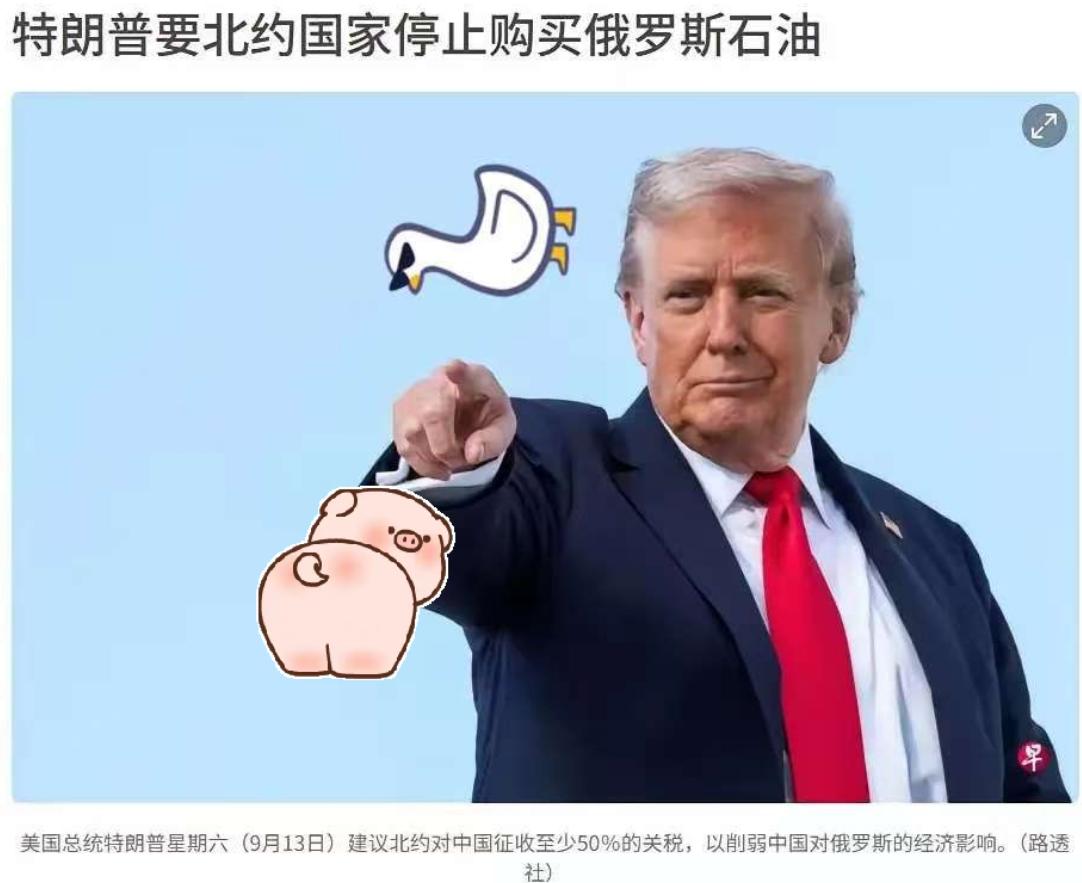特朗普又官宣了！

9月14日凌晨最新消息：特朗普发文称当所有北约国家停止购买俄
