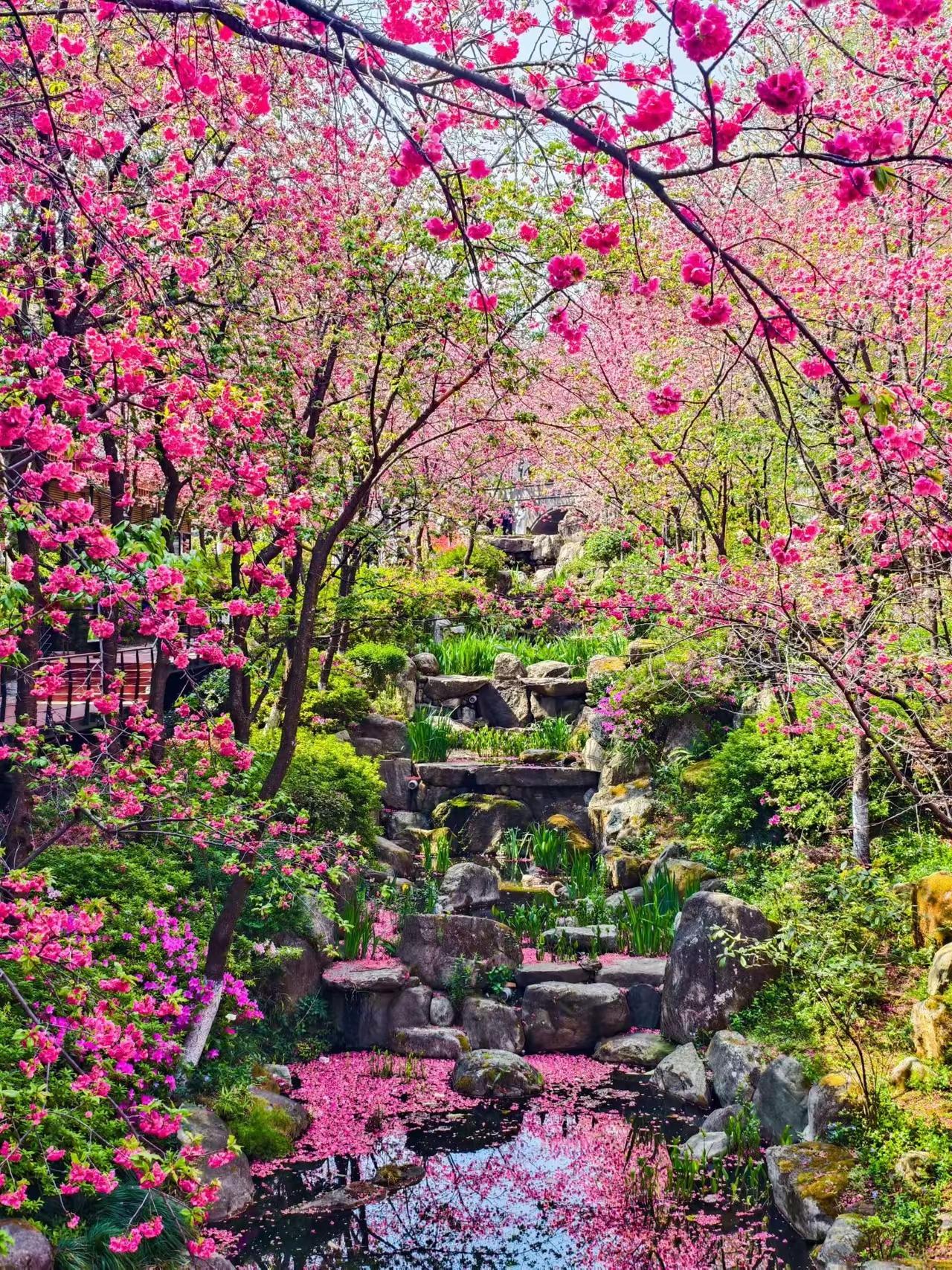 默默深耕，静静沉淀
最坚定的成长，来自日复一日
细水长流，厚积薄发
且待那一点星