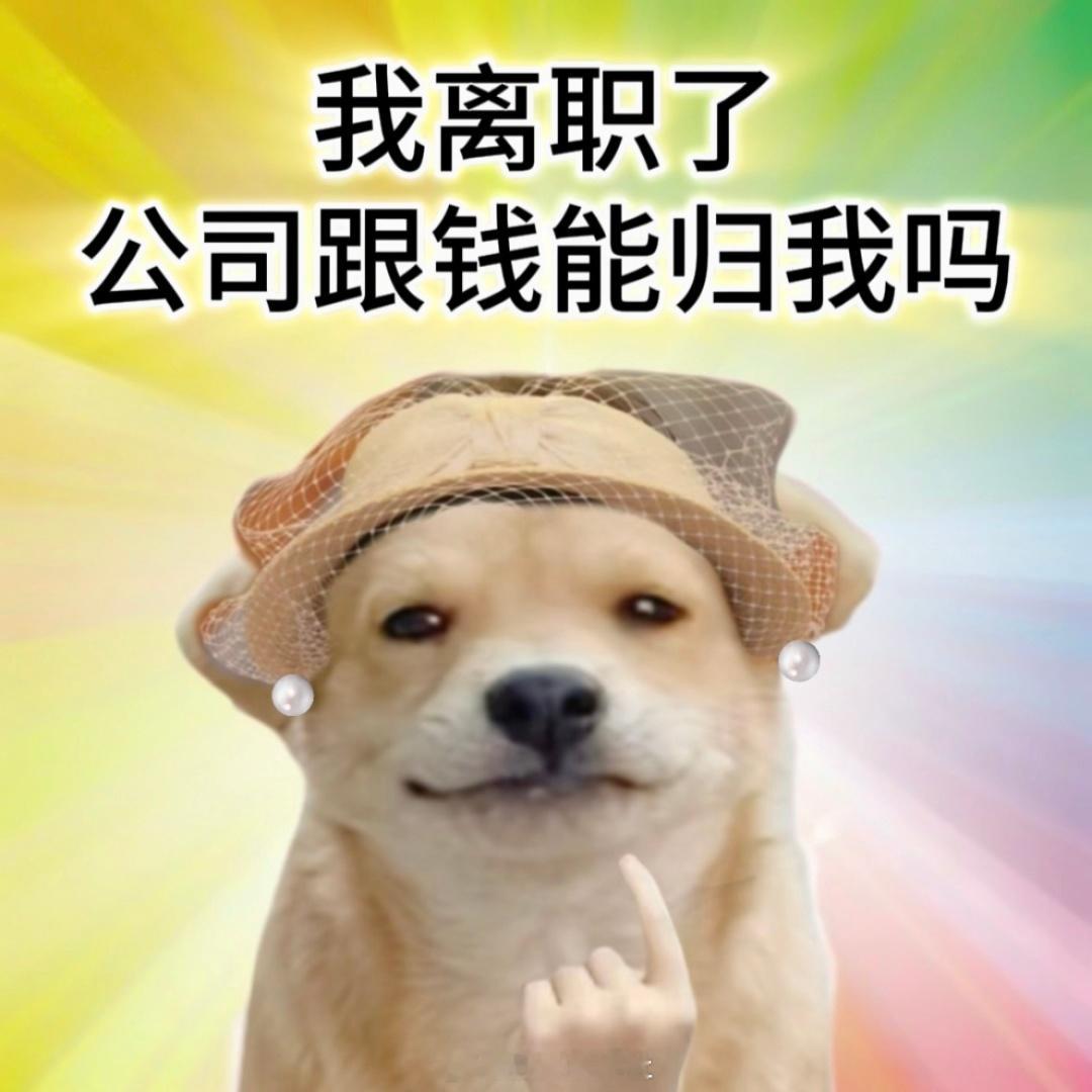 #用麦琳的语气跟领导说话# 太典了 ​​​