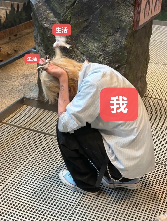 8meme🈶 