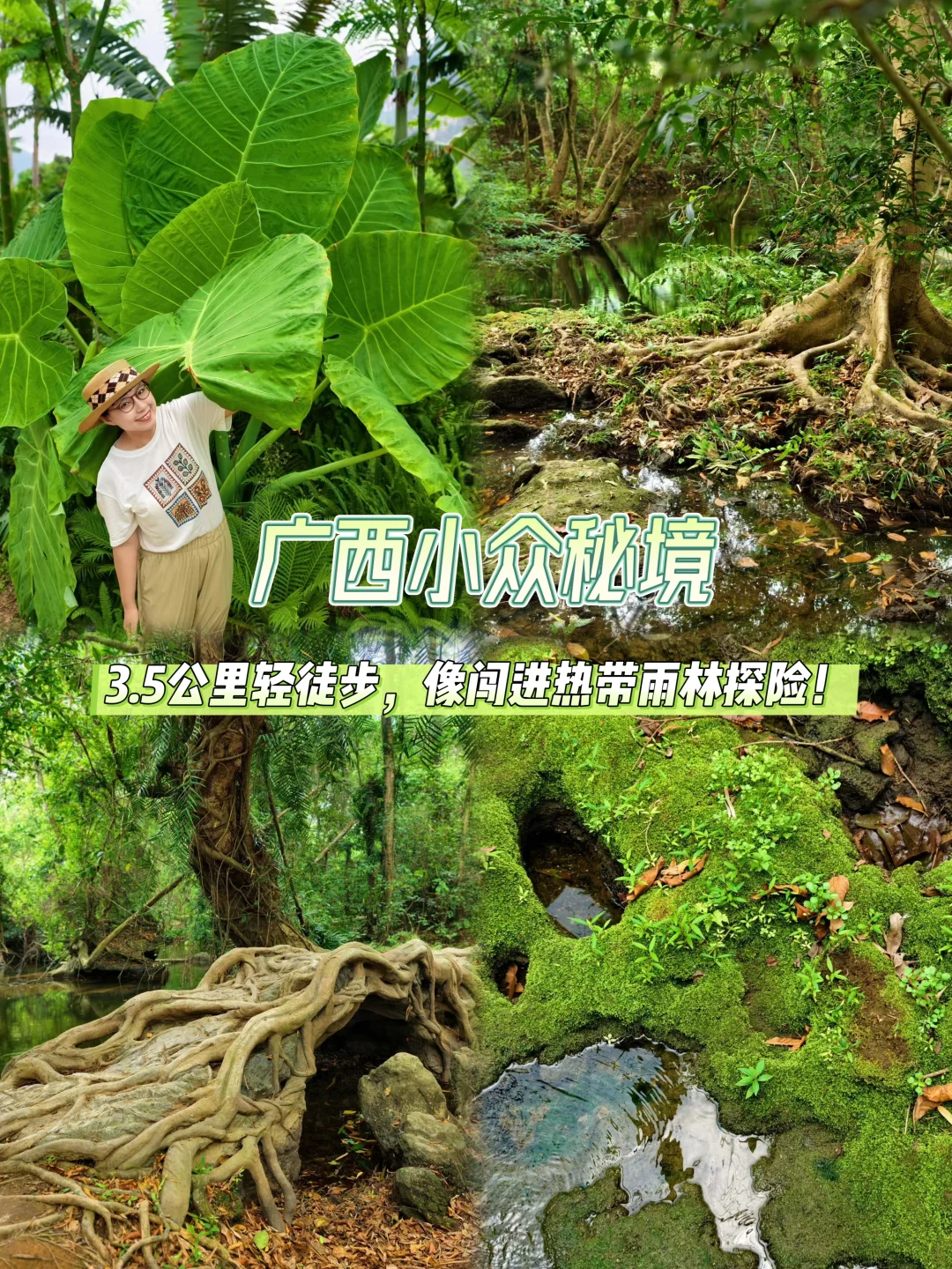 崇左秘境，像热带雨林探险！