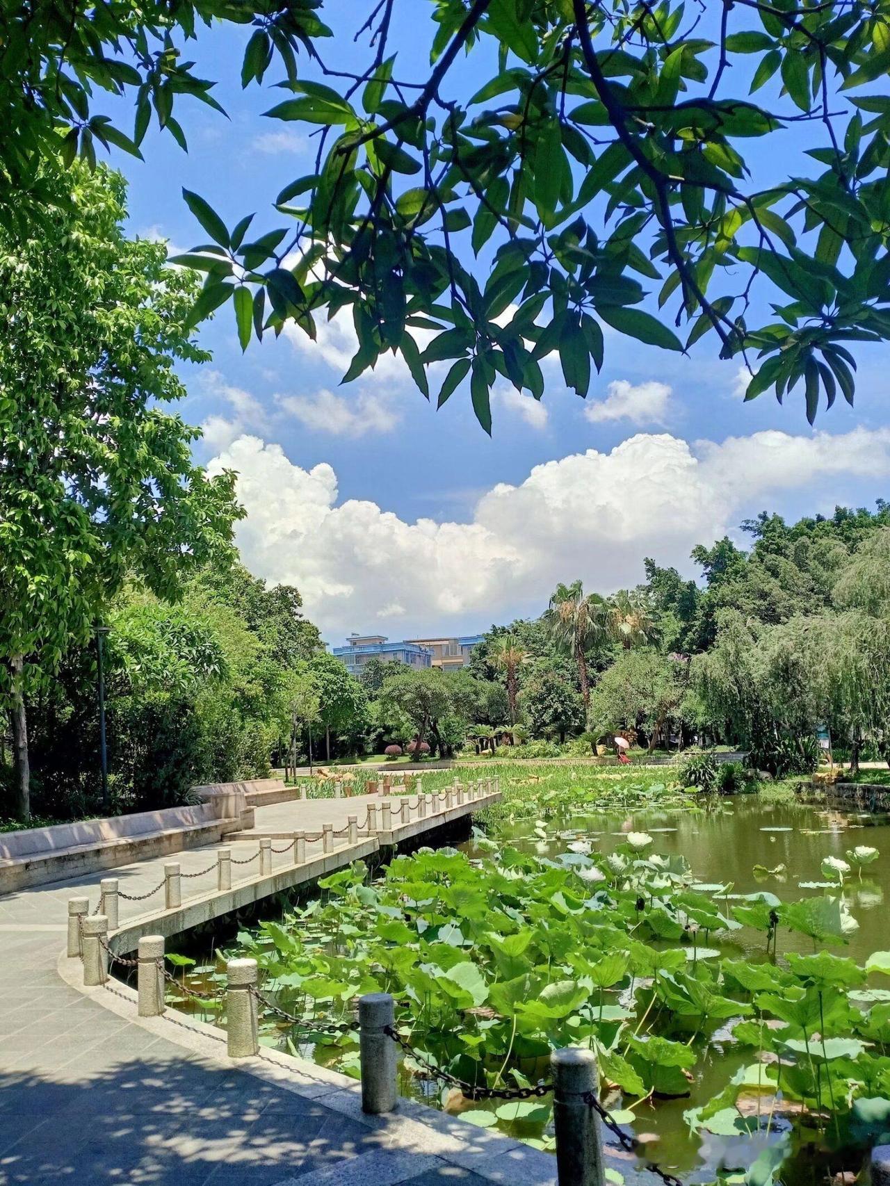 东涌公园春日漫步指南｜城市绿肺中的慢生活

🌿在钢筋森林里挖到一片治愈系绿洲！