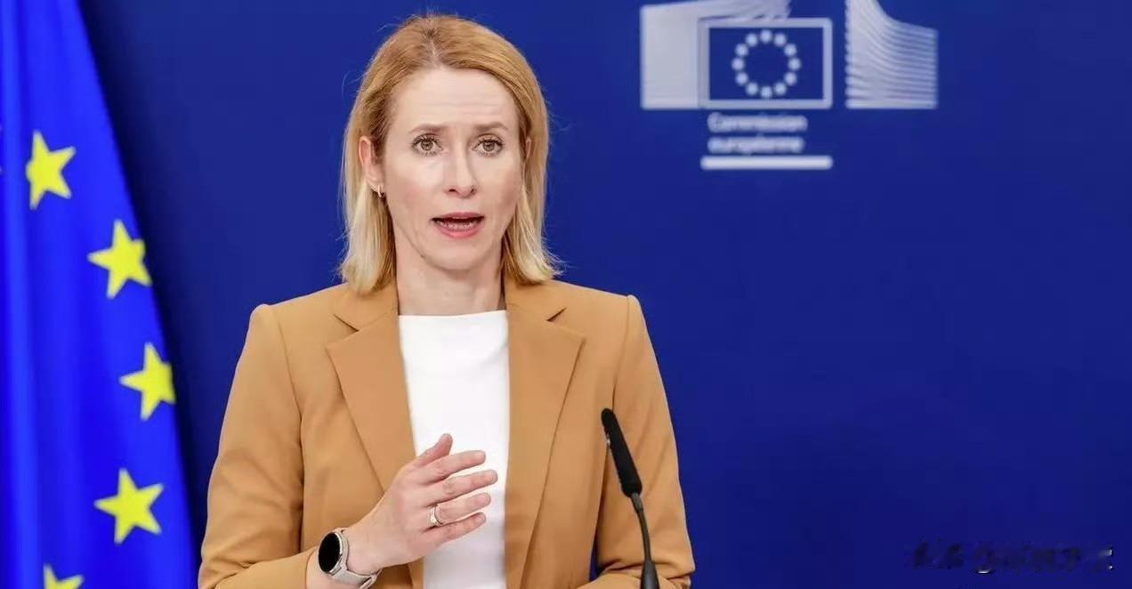 特朗普因格陵兰岛向欧洲8国加税 欧盟怪谁呢？

对！没错！
就是你想的那样！
