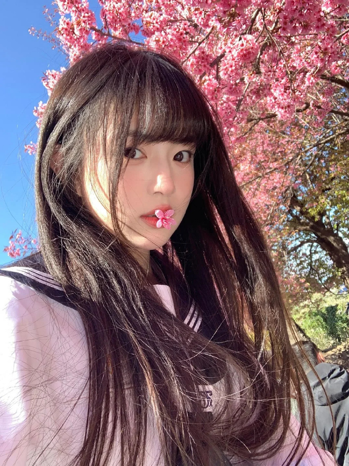 一些与鲜花的拍照姿势📸 
