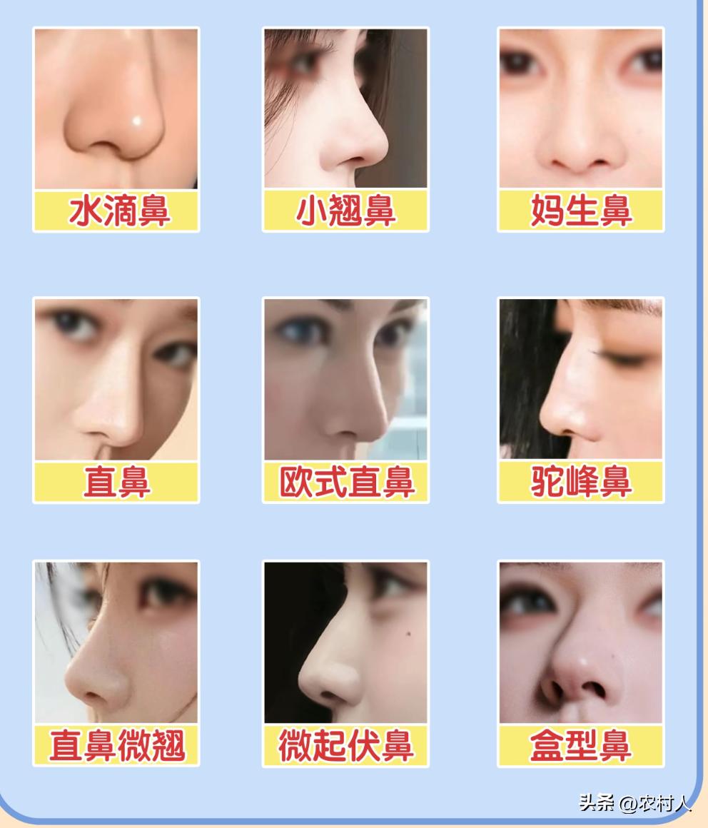 九种好看的鼻型，你更喜欢哪一个？
