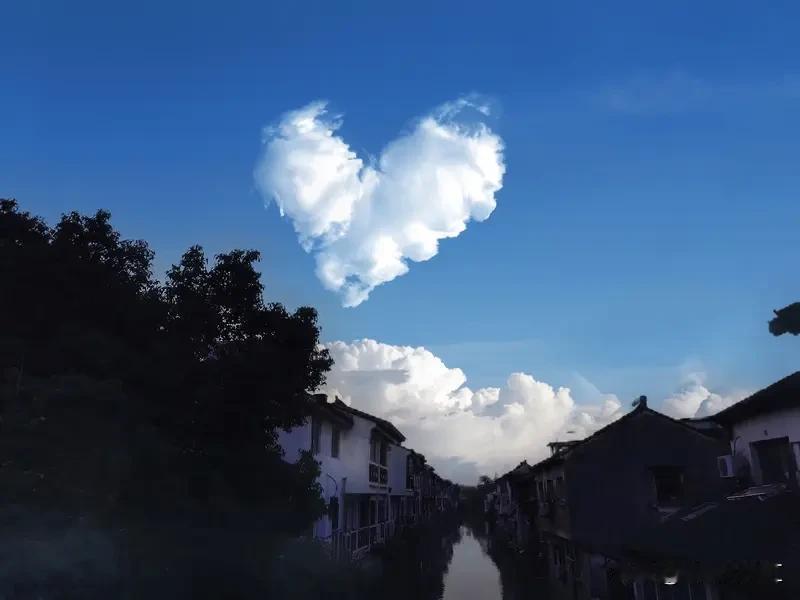 真心对一个人，未必能换来真情的回报。在这复杂的社会里，情感就像一片深海。
真心付