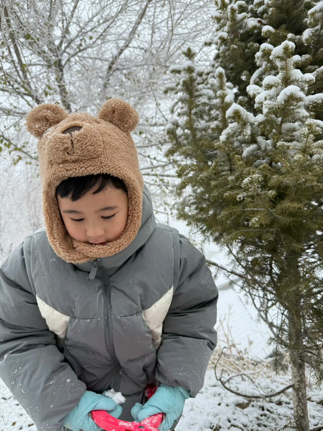 马立奥雪地live松 蹦蹦跳跳的可爱雪地松 