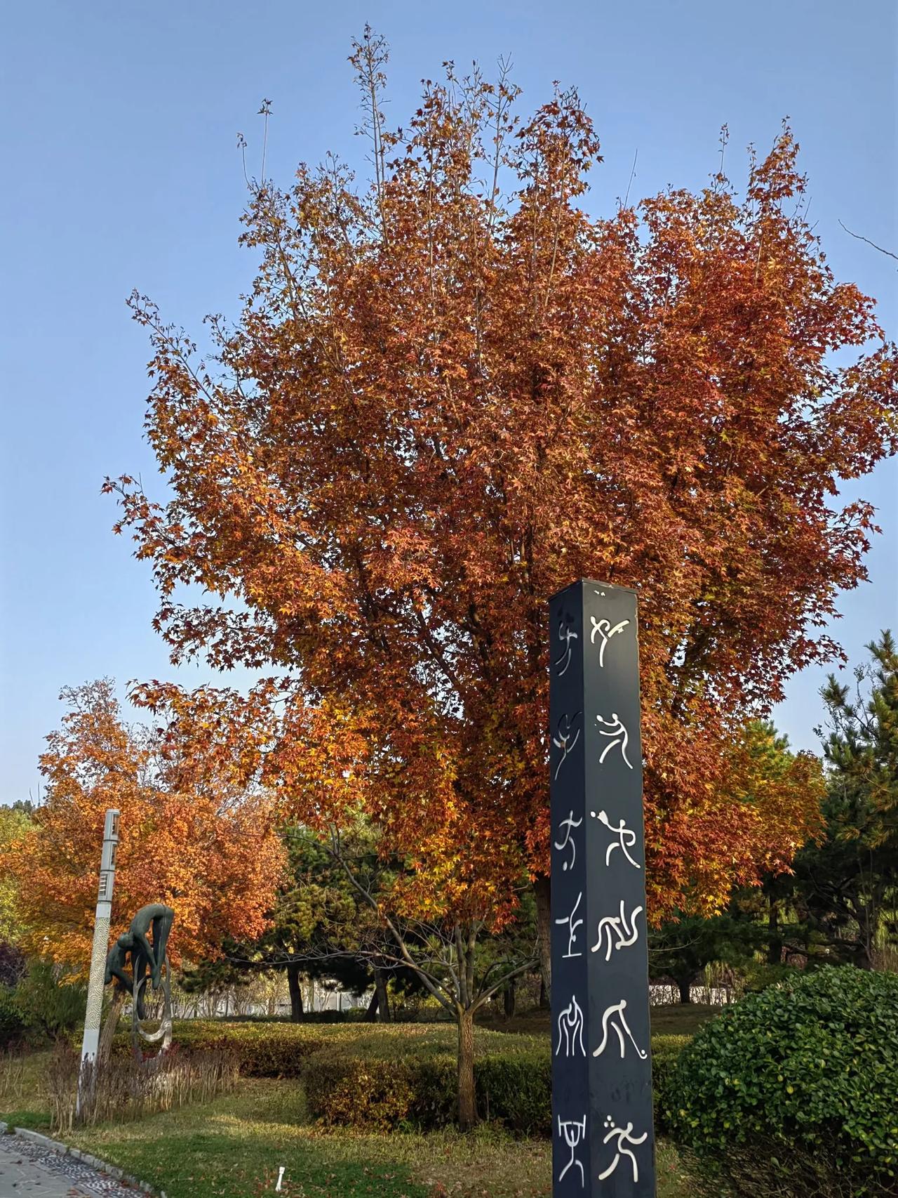 去北戴河寻秋，奥林匹克公园是必去的地方之一。
       奥林匹克公园有假山、