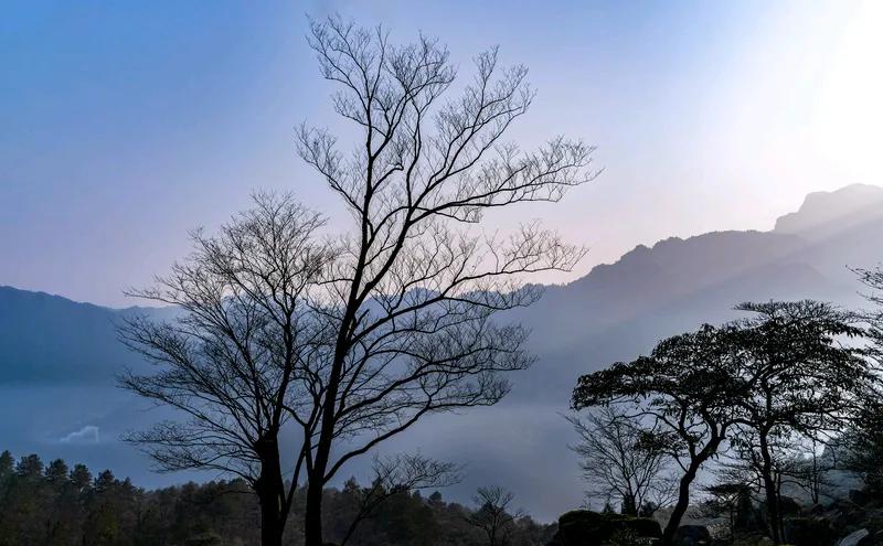 它不是真的，是寓言故事。说愚公家门前有座大山，决心把它挖去。现实生活中，我们要学