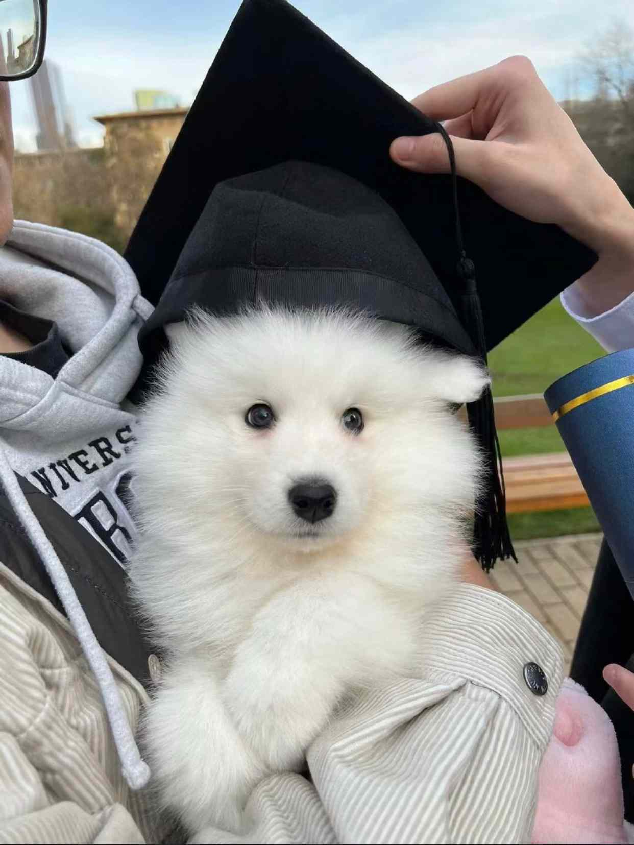 我从耶鲁大学毕业啦！🎓 