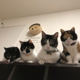 勤红玩玩娱乐